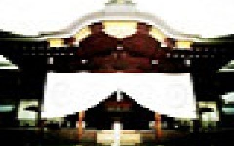 真实的“鬼国”の一次百万亡灵的大招魂-蕉爷VIP内参