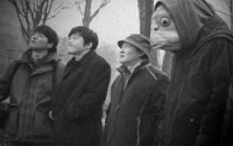 秦岭的变异幽灵の一个延续三百年的局-蕉爷VIP内参