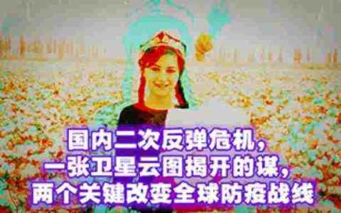 国内二次反弹危机，一张卫星云图揭开的谋，两个关键改变全球防疫战-蕉爷VIP内参