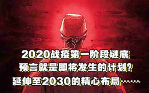 2020战疫第一阶段谜底， 延伸至2030的精心布局-蕉爷VIP内参