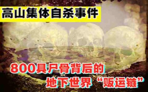 高山集体自杀事件？800具尸骨背后的地下世界“贩运链”-蕉爷VIP内参