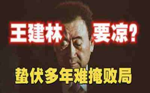 王建林要凉？蛰伏多年难掩败局，深层解剖首富艰难上市路，谁才是破财局的主谋？-蕉爷VIP内参