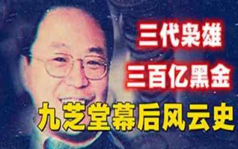 三代枭雄，三百亿黑金，三百年九芝堂颠沛史-蕉爷VIP内参