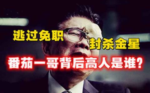 逃过上海首富免职宴，一番嘲讽封杀金星，番茄一哥曹可凡背后站着谁？-蕉爷VIP内参