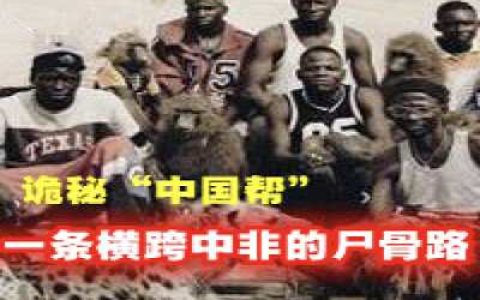 诡秘隐藏在非洲多年的“中国帮”の一条横跨中非的尸骨路-蕉爷VIP内参