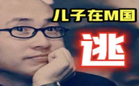 为什么说潘十亿大甩卖是跟躲在M国的儿子有关？-蕉爷VIP内参