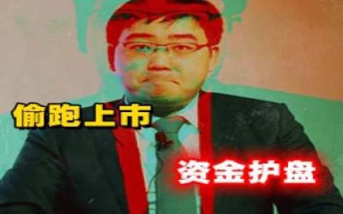 连夜偷跑上市，国外资金护盘の滴滴被联合整顿内幕解读-蕉爷VIP内参