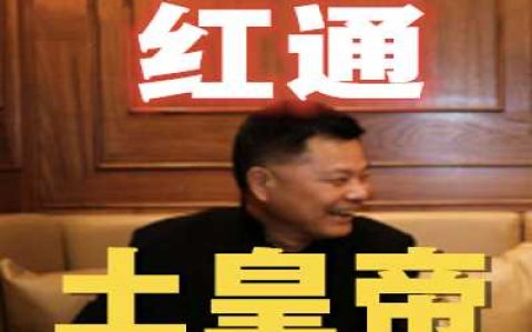 真正的娱乐土皇帝M国红通记の一部国商靠踩钢丝完成的诡计学-蕉爷VIP内参
