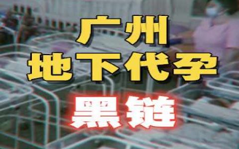 广州代孕地下黑产链真实暗面，“造人生意”竟是打造商业帝国的秘诀？-蕉爷VIP内参