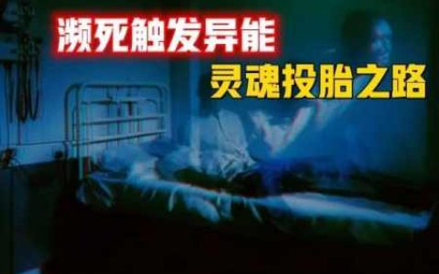 人死后49天的全过程记录の转世前的超能体验和遇见的100个神-蕉爷VIP内参