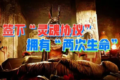 拍卖会上的神配方，如何激活“第二生命”？-蕉爷VIP内参