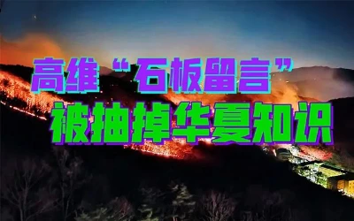 大厂“数据福地”背后，搭通天地线寻找巨人？-蕉爷VIP内参