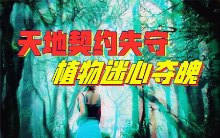 抢占“人身”事件频发，因“向上通道”又要关闭？-蕉爷VIP内参