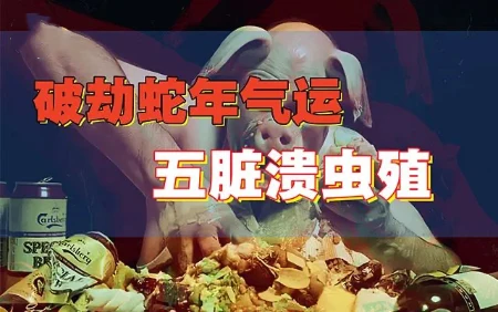 “三尸虫”寄生实录，现代人越活越虚背后-蕉爷VIP内参